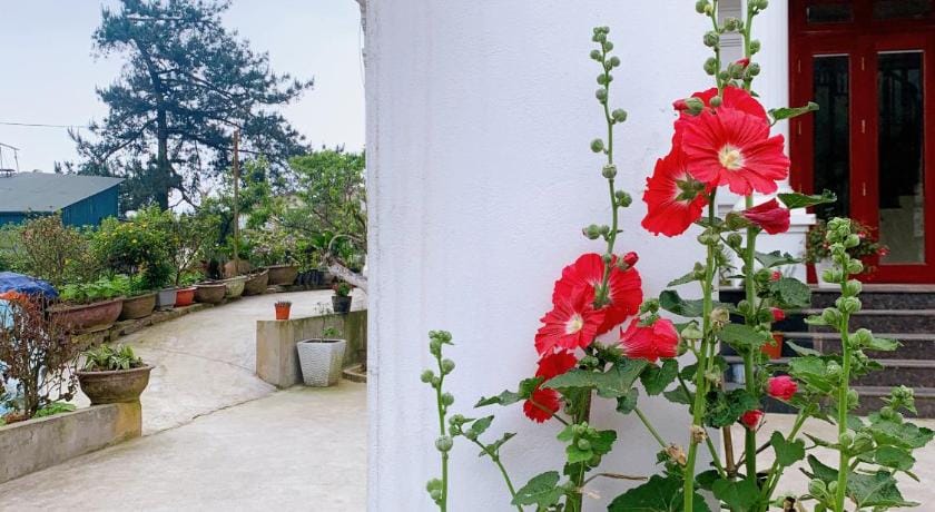 The 1996 House Apartment in Laos
