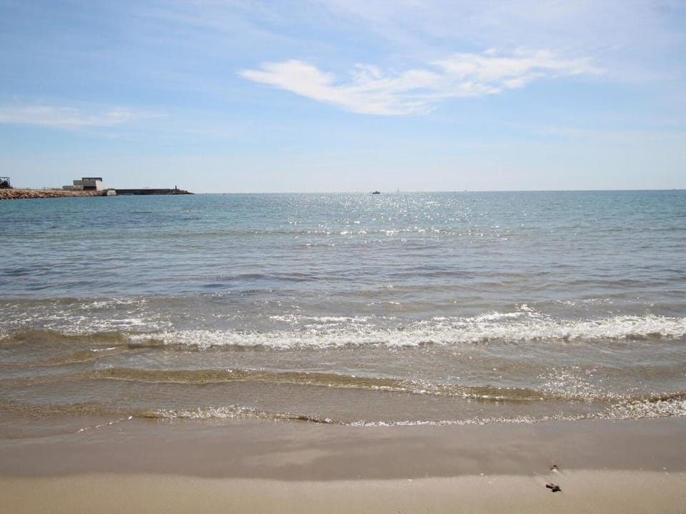 Apolo Apartment, just 800 meters from the beach. Apartment in Torrevieja
