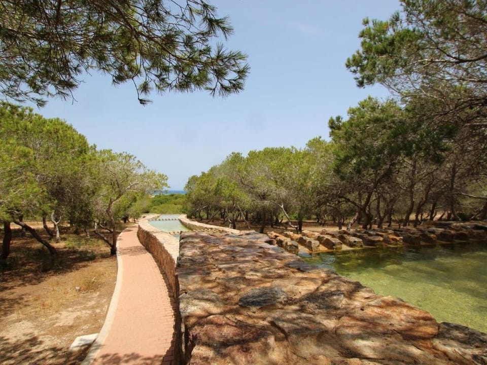 Las Dunas House. Located  500 mts from the beach Vacation rental in Torre La Mata