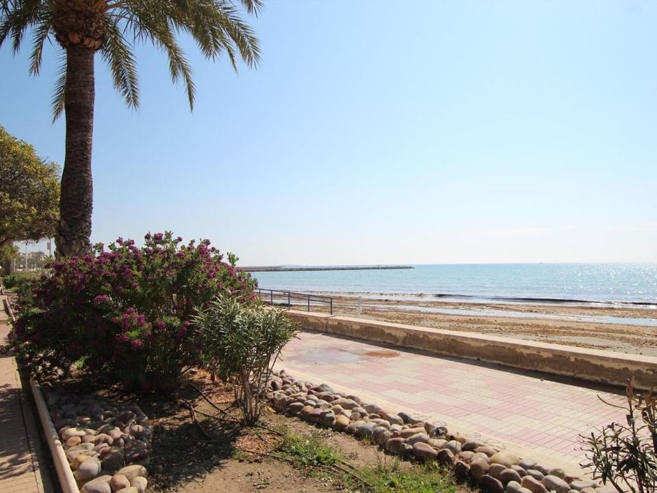 Neptuno Apartment, Just 100 meters from the beach Apartment in Santa Pola