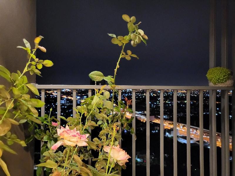 Monthly Mansion Central westgate  Apartment in Bangkok