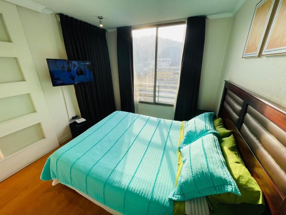 Rho Departamentos Apartment in Providencia