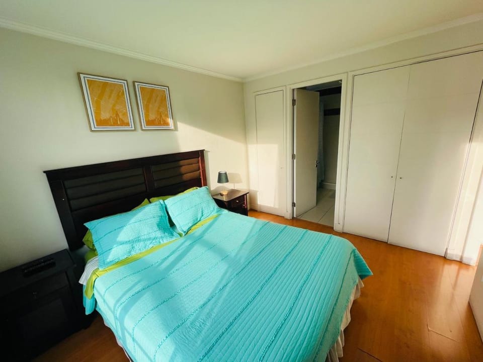 Rho Departamentos Apartment in Providencia