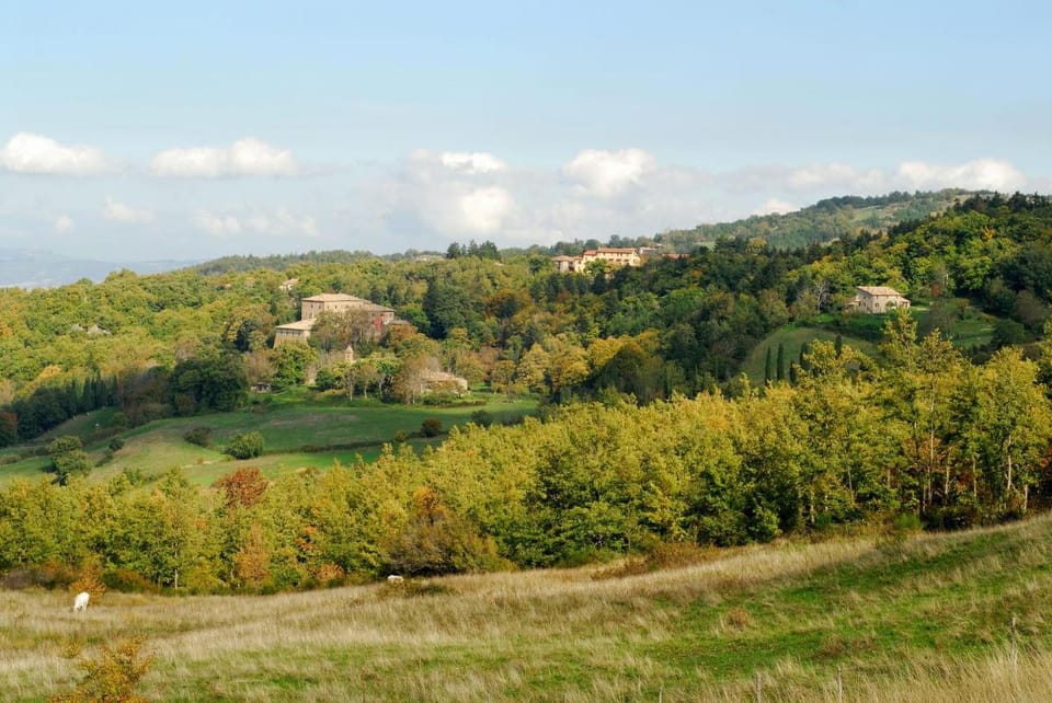 - Agriturismo La Piaggia - forest view apartment on the ground floor 2 guests Apartment in Tuscany