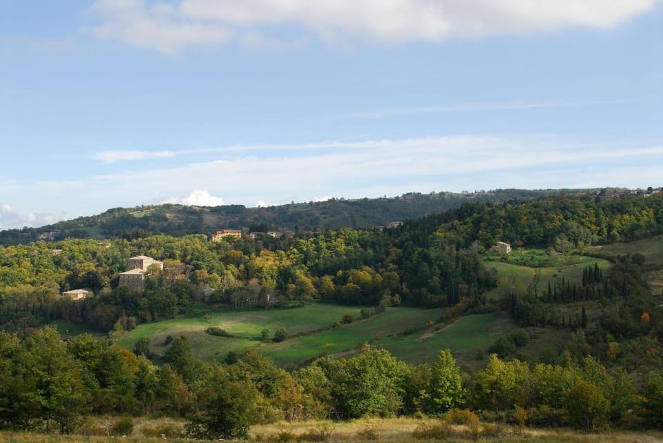 - Agriturismo La Piaggia - forest view apartment on the ground floor 2 guests Apartment in Tuscany