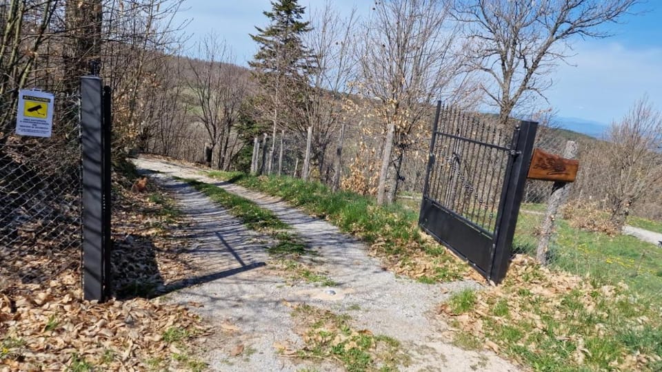 - Agriturismo La Piaggia - forest view apartment on the ground floor 2 guests Apartment in Tuscany
