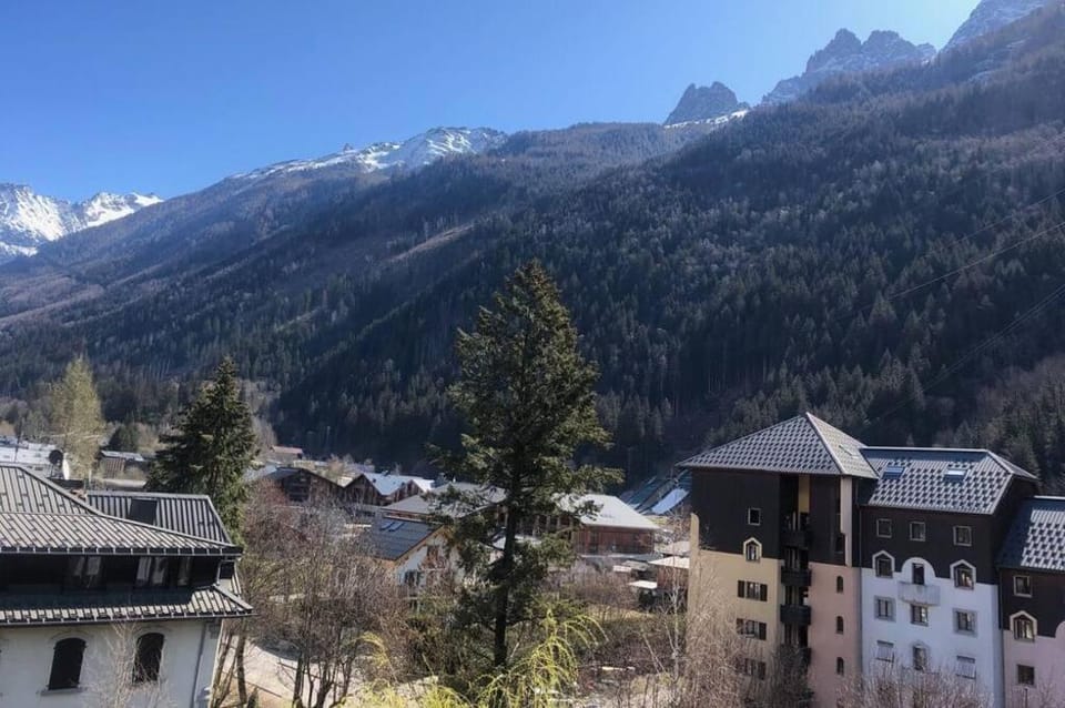Appartement Cosy - Aiguille du Midi Apartment in Chamonix