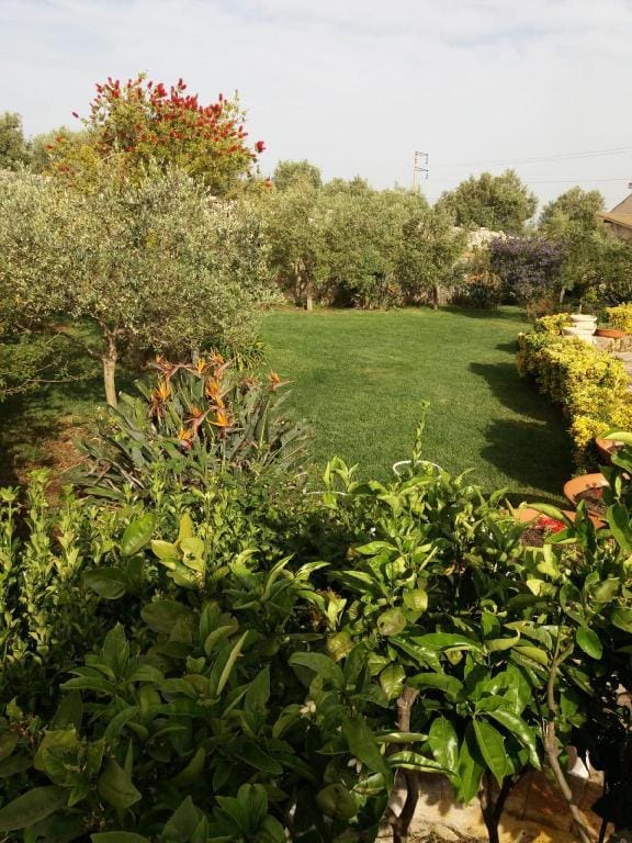 Luxury Villa with Swimming Pool close to Syracuse Villa in Sicily