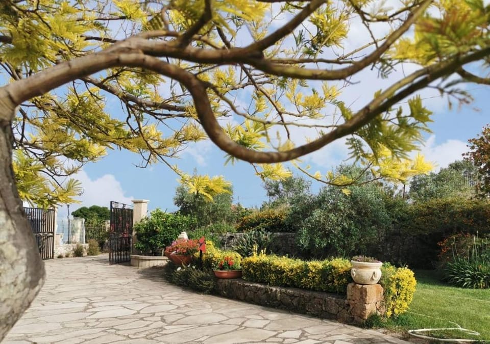 Luxury Villa with Swimming Pool close to Syracuse Villa in Sicily
