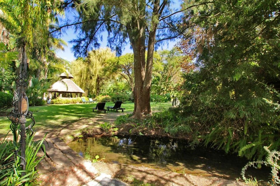 Hakunamatata Lodge and Health Spa Hotel in Roodepoort