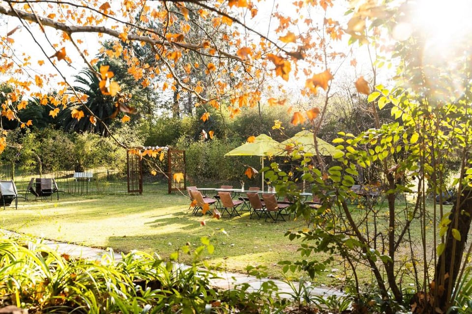 Hakunamatata Lodge and Health Spa Hotel in Roodepoort