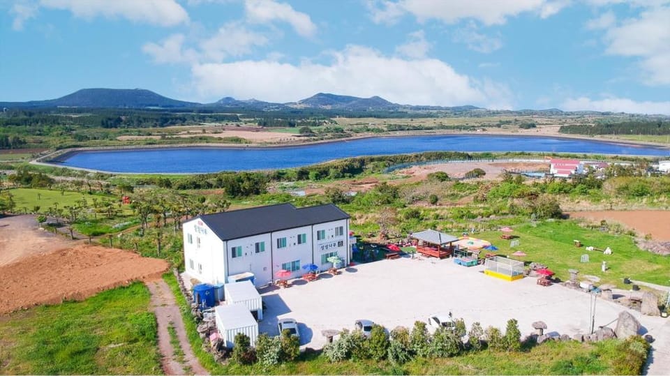seogwipo sangsangnamu kiz pension Bed and Breakfast in South Korea