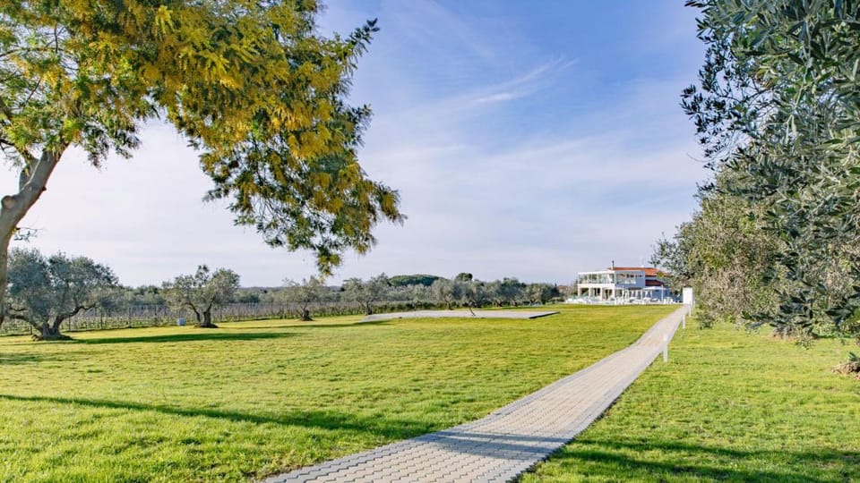 La Perla tra gli Ulivi 12, Emma Villas Villa in San Vincenzo