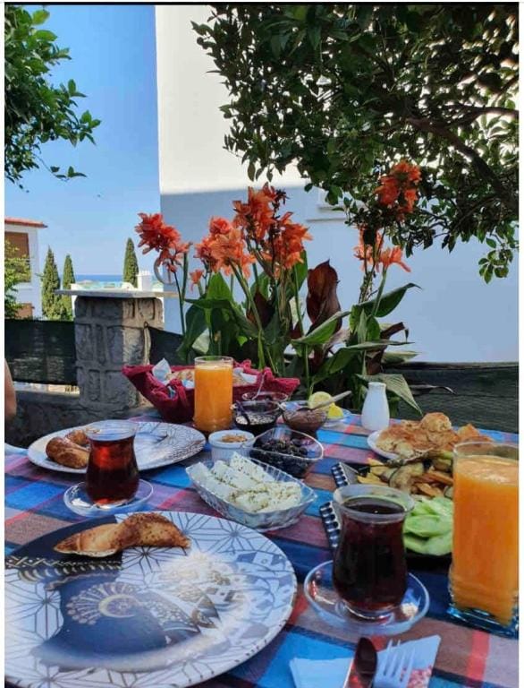 White House Villa in Muğla Province