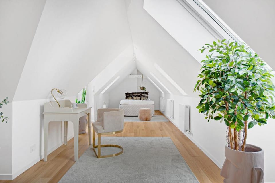 Spacious and Bright 1 bedroom apartment with terrace in central Copenhagen Apartment in Copenhagen