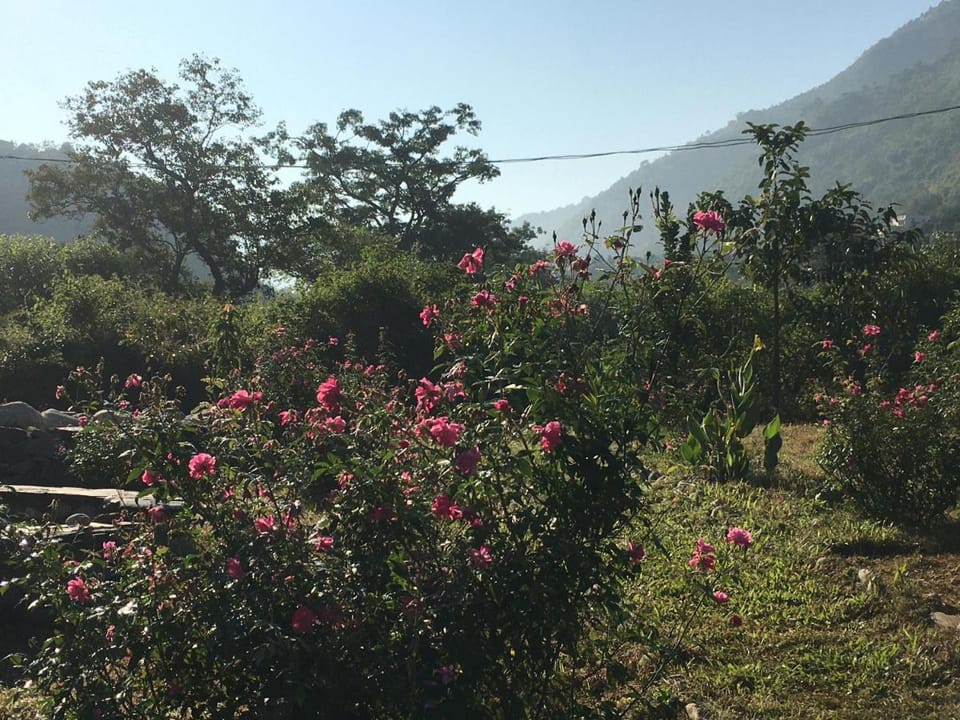 Nayar Valley Retreat Hotel in Uttarakhand
