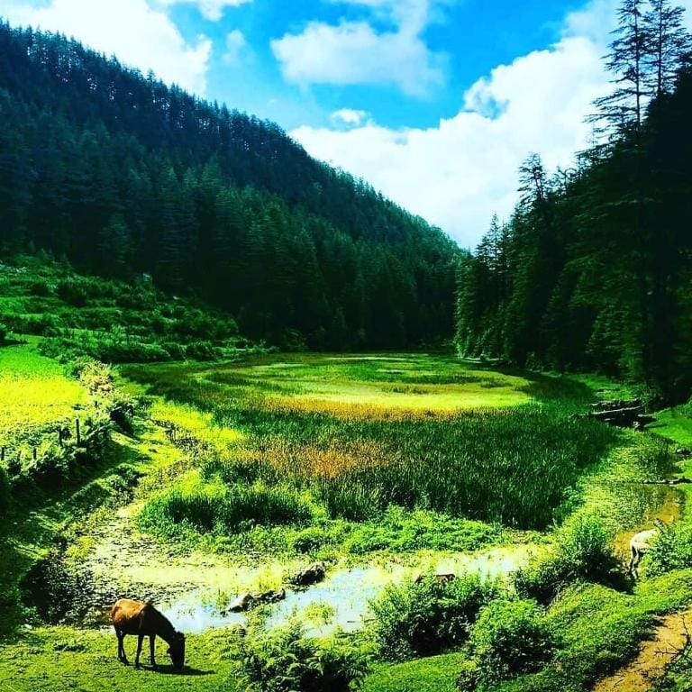 Suhana homestay  Apartment in Himachal Pradesh