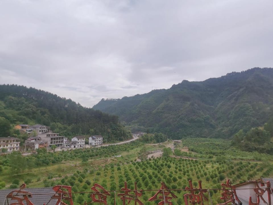 Z 飞星/山景大床套房 国家森林公园 Vacation rental in Hubei
