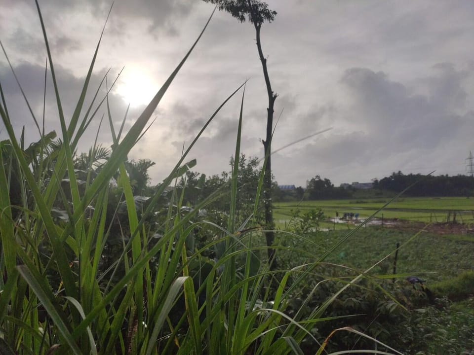Kamanabillu Homestay Jog Falls Apartment in Karnataka