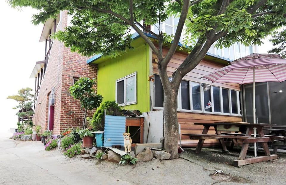 Taean Gaetyeowool Pension Bed and Breakfast in South Korea