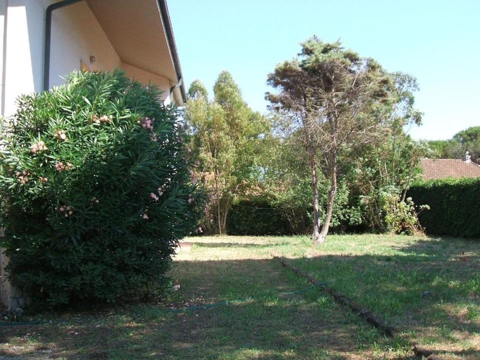 Villa Argentario - Villa Argentario Villa in Giannella