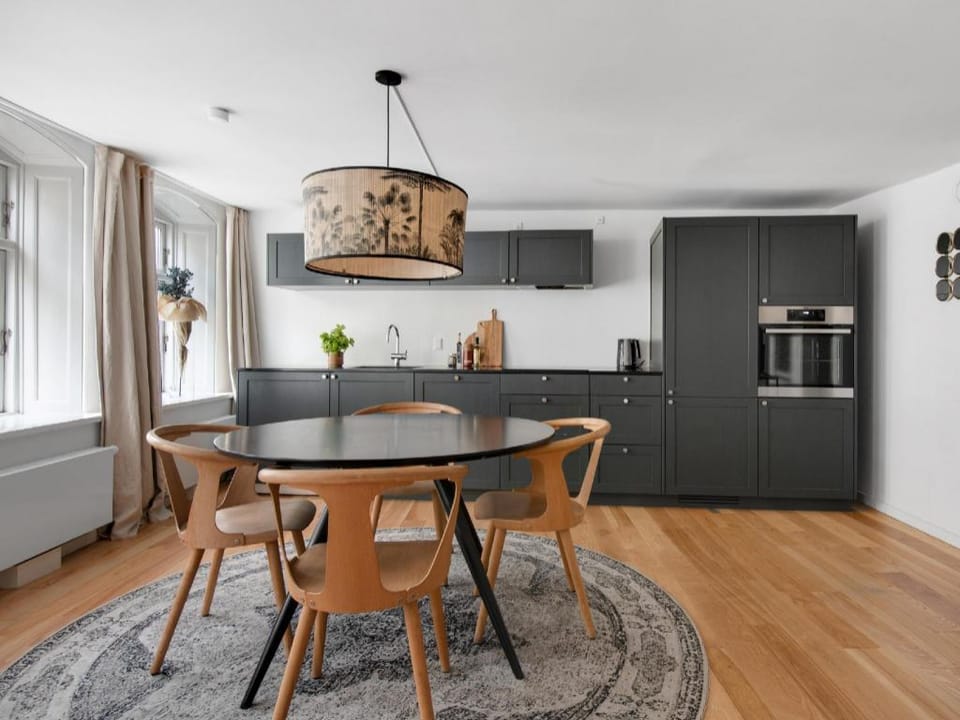 Smaller Luxury Apartment Apartment in Copenhagen