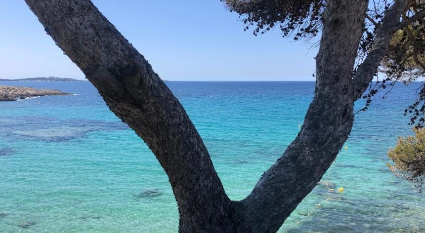 Les Baux 1 Apartment in Sanary-sur-Mer