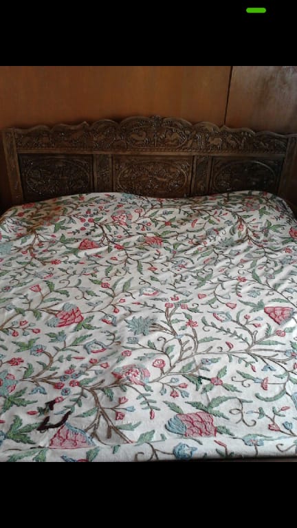 Budshah palace, private house boat Villa in India