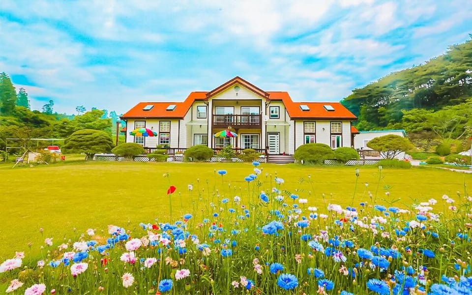 Anmyeondo Chingunae Pension Bed and Breakfast in South Korea