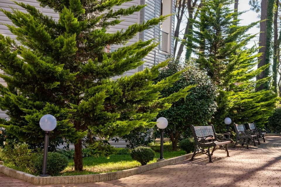 Buxus Hotel Shekvetili Hotel in Georgia