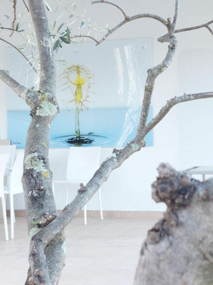 Croissant de Lune Bed and Breakfast in Occitanie