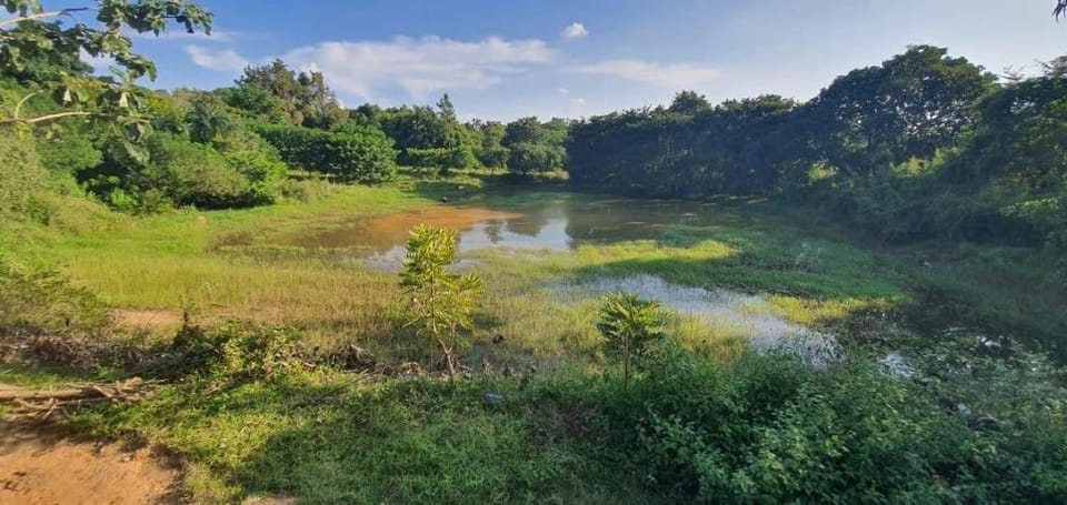 A home in the woods Villa in Bengaluru