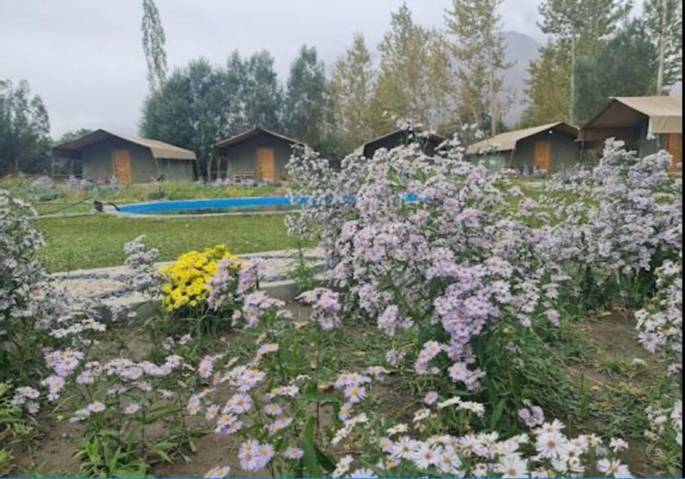 Pebbles Luxury Tent Resort Luxury tent in India