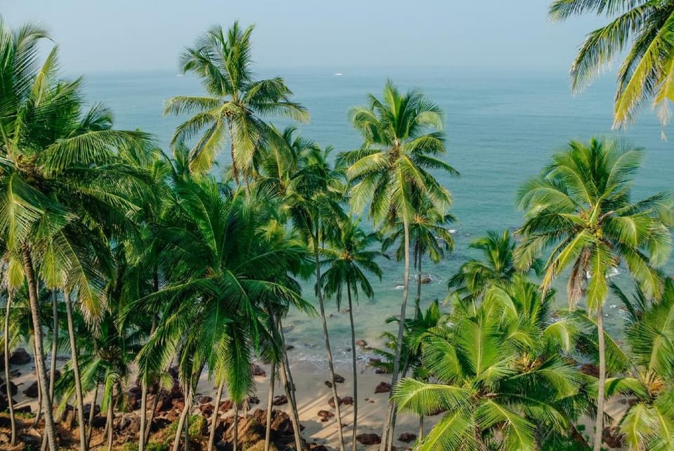 Agondawellnessvilla Resort in Agonda