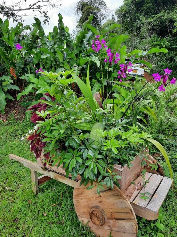 Sendero del Rio Finca Hotel Vacation rental in San Rafael