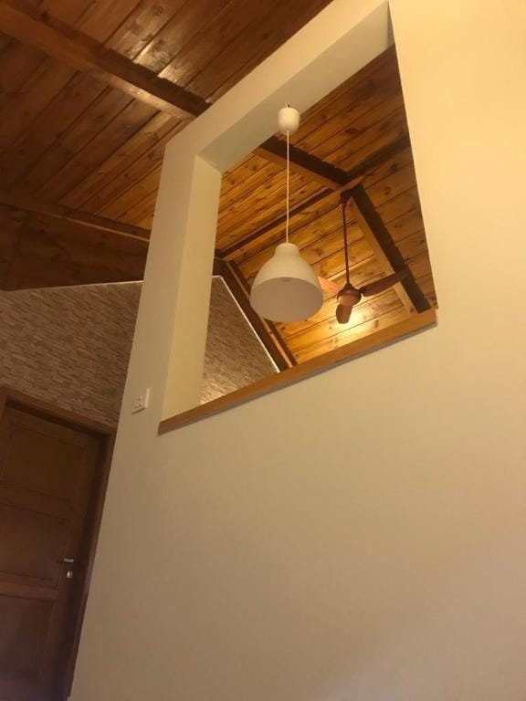 Deluxe Swiss Cottages Villa in Punjab