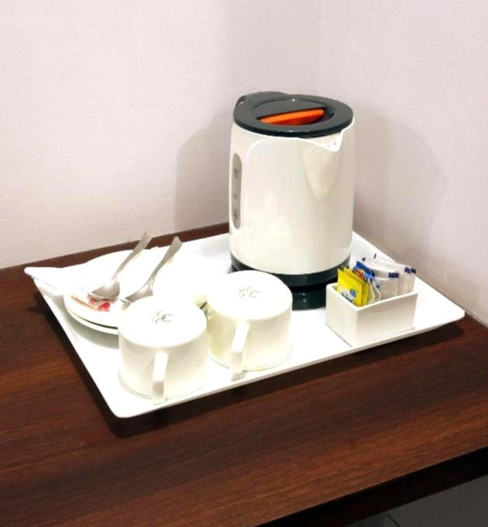 Green Snapper Hotel Hotel in Delhi