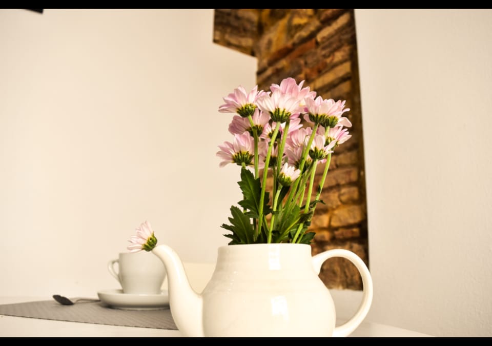 Apartamento Tomasa -AT Patio San Andrés- Apartment in Cordoba