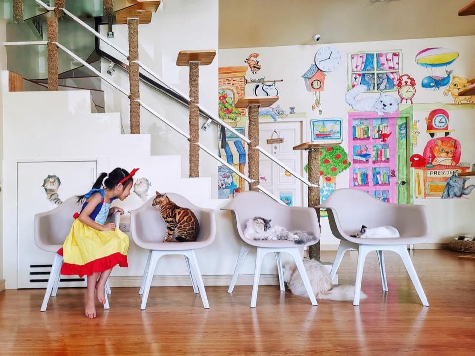 Patong Beach CatThemeHostel kingbed/balcony/lift-5 Apartment in Patong