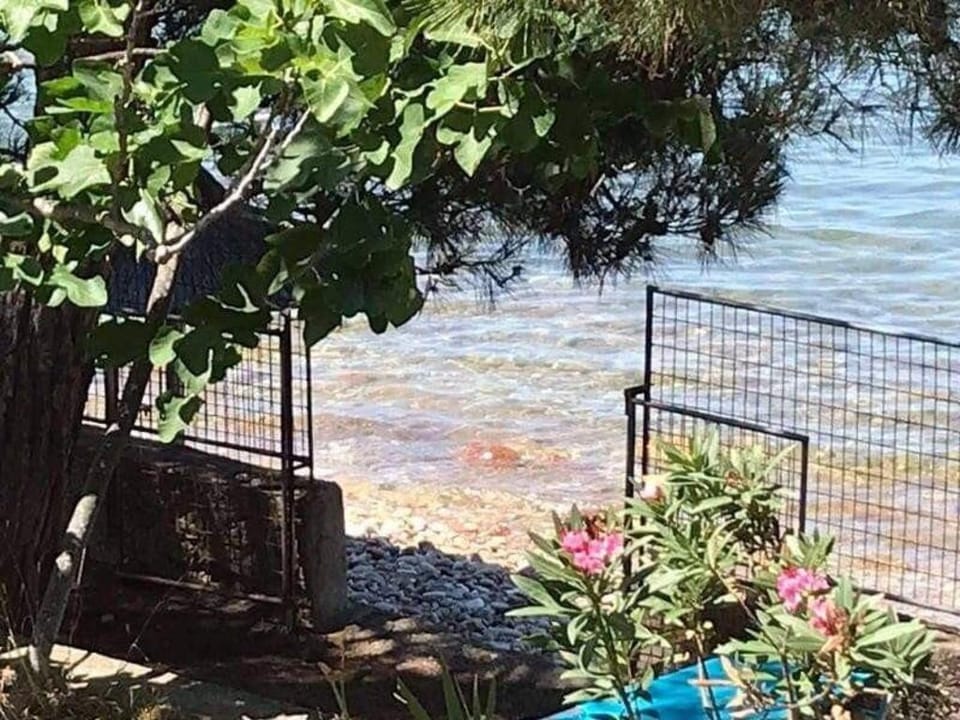 Pine Beach House Vacation rental in Thasos