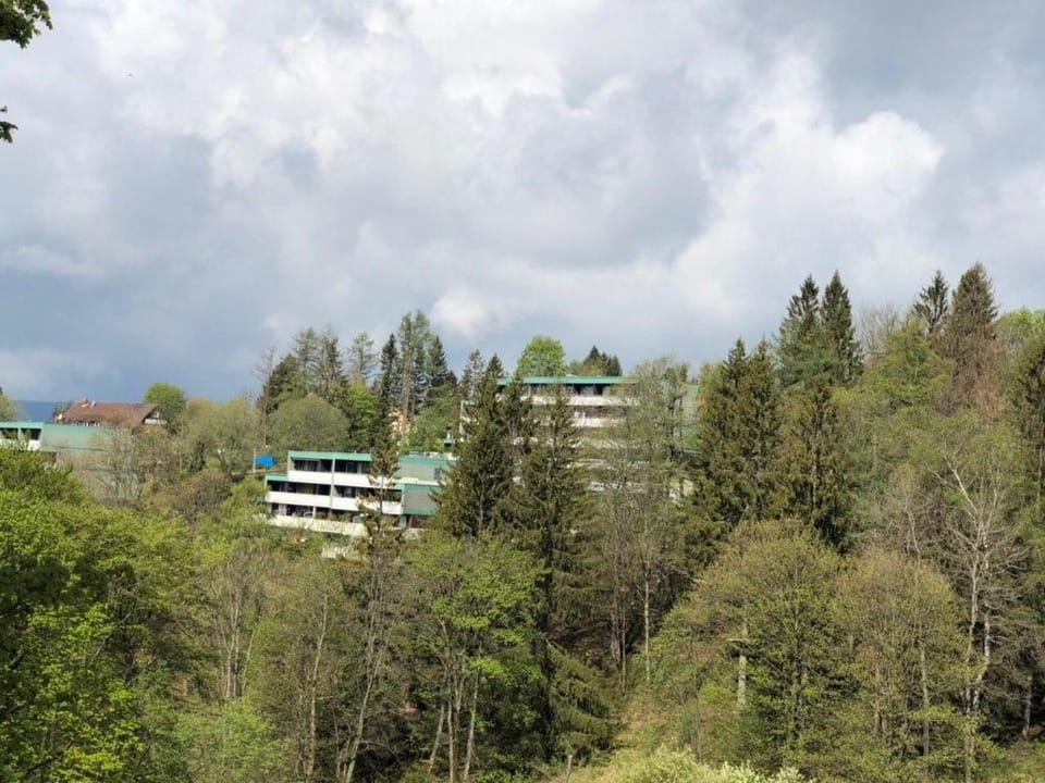 Apartment Harzblick -NEU MODERNISIERT- Apartment in Lower Saxony, Germany