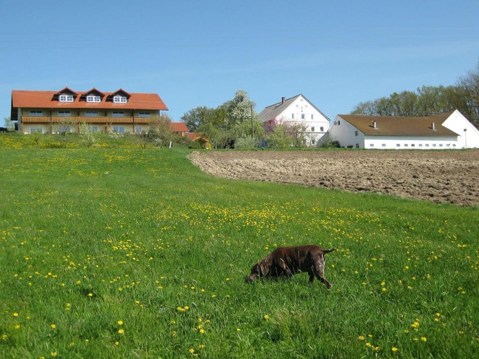 Wohnung in Rotthalmunster mit Garten Apartment in Upper Austria