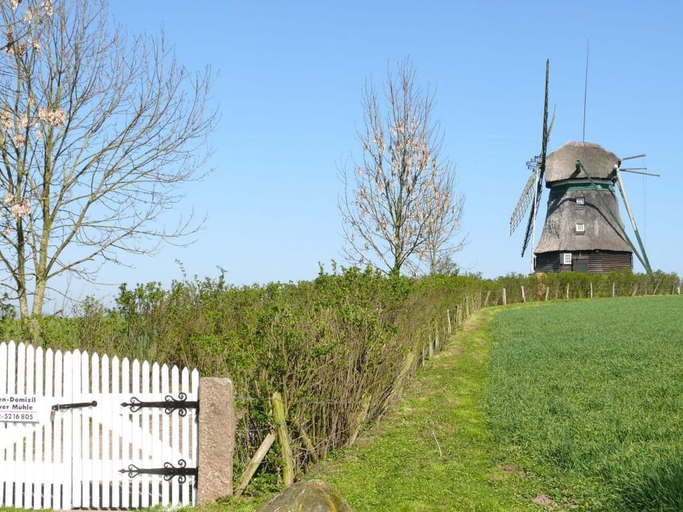Guest House near Coast Vacation rental in Ostholstein