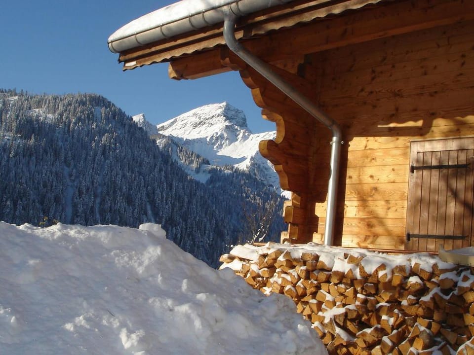 Chalet in Chatel near Les Portes du Soleil Vacation rental in Châtel