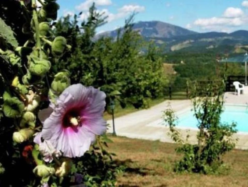 Chalet in Apecchio with Pool and Mountain Views Vacation rental in Umbria