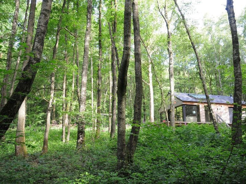 Chalet in Oignies near French Border Vacation rental in Wallonia, Belgium