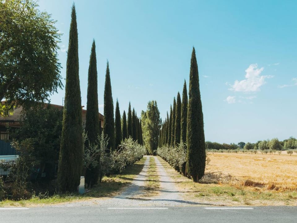holiday home in Cortona Vacation rental in Umbria