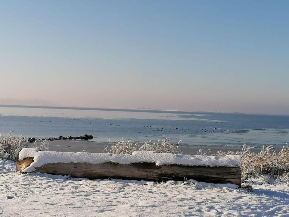 Tranquil Pepelow Retreat Vacation rental in Mecklenburg-Vorpommern, Germany