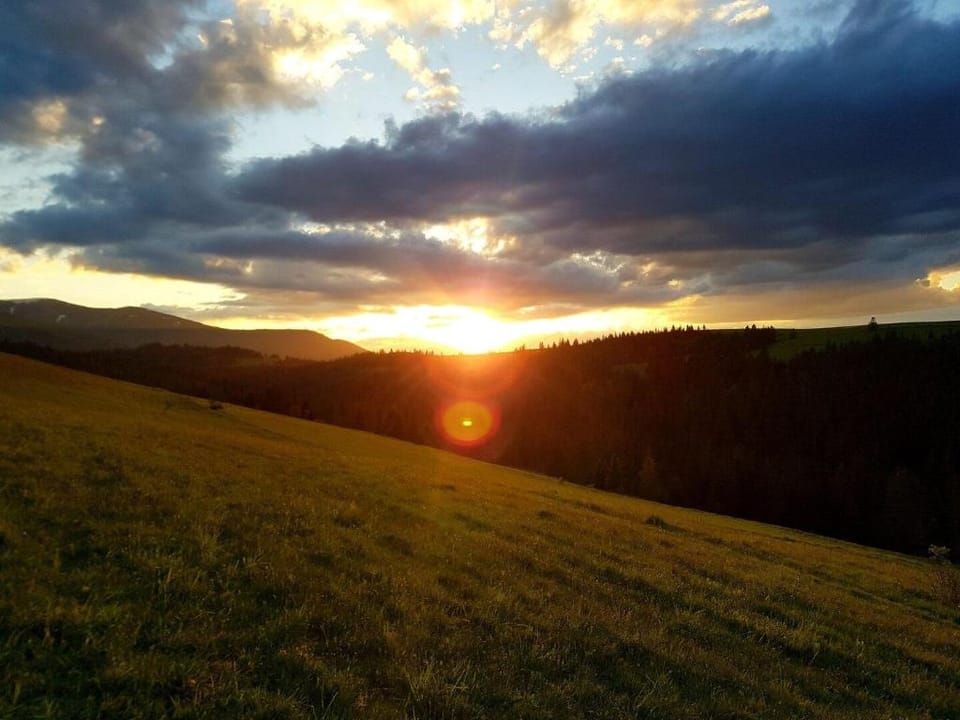 Carpathian house Vacation rental in Ukraine