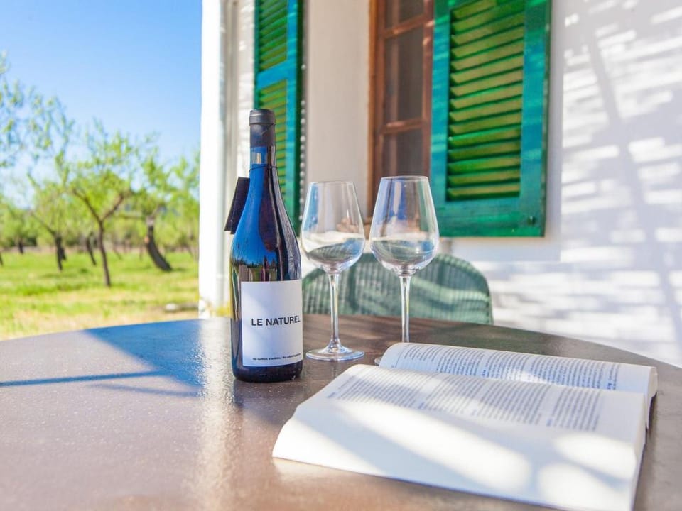 Ses Planes ca Na Faustina - Villa With Pool Vacation rental in Pla de Mallorca